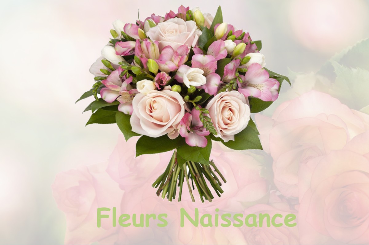 fleurs naissance LA-HOUSSAYE